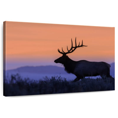 Wapiti brulé contre le coucher du soleil