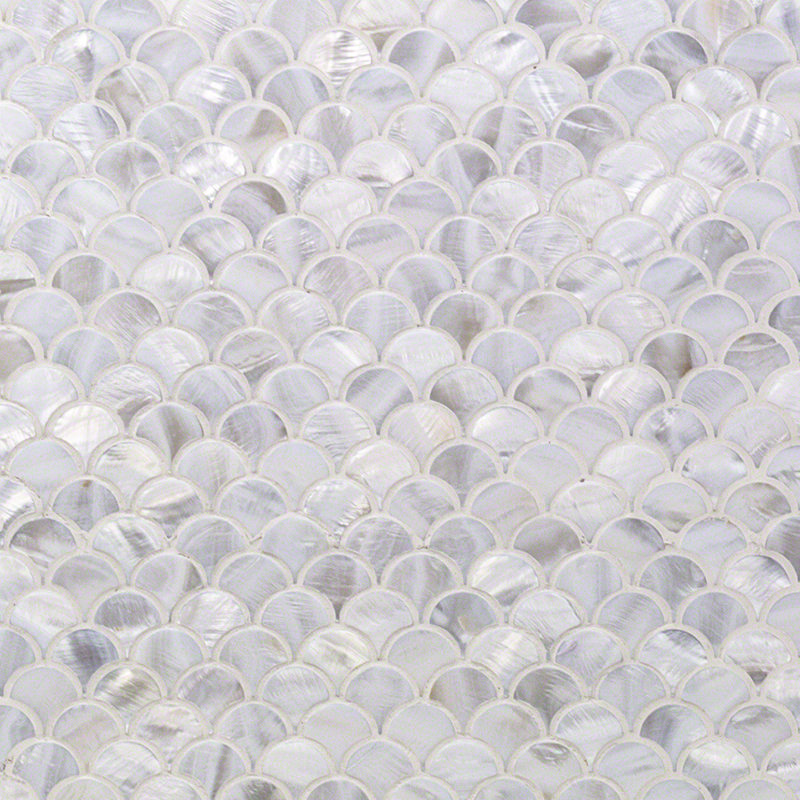 Mur de mosaïques en écailles de coquillage 0,39 po x 0,79 po Pacif
