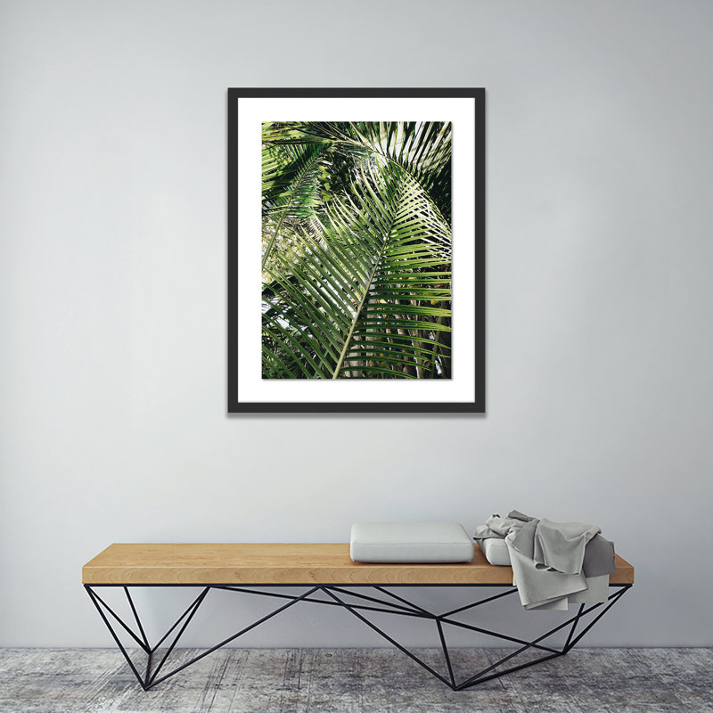 Palm I Print by Vitaliy Paykov, Black, 40" H x 32" W x 2.5" D