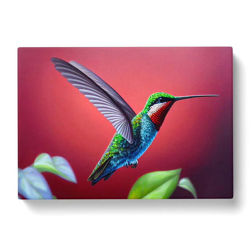 Charming Hummingbird - Wrapped Canvas Print, 50cm H x 76cm W x 3cm D
