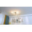 Coblitz 6 - Light Dimmable Sputnik Spider Chandelier-2133816286