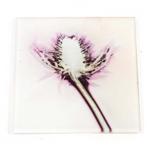 Glass Square 1 Piece Coaster, X-Ray