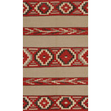 Southwestern Area Rug in Brown/Red