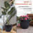 Shiye Pot Planter-66653519