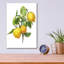 «Lemon Tree Branch» par Artand a Little Magic, verre acrylique-1850501096