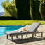 Eugenio Solid Acacia Wood Outdoor Chaise Lounge with Cushion-111786440-134477916
