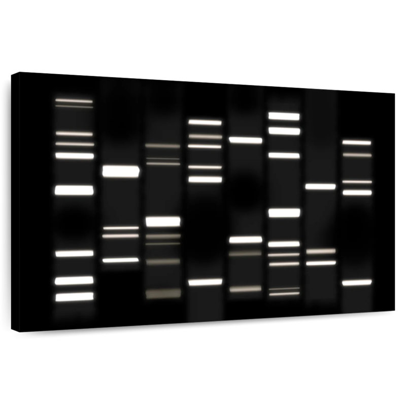 Keiri ADN blanc sur noir, H 34 po x l 51 po