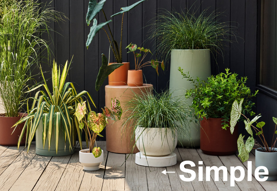 Outdoor Planters