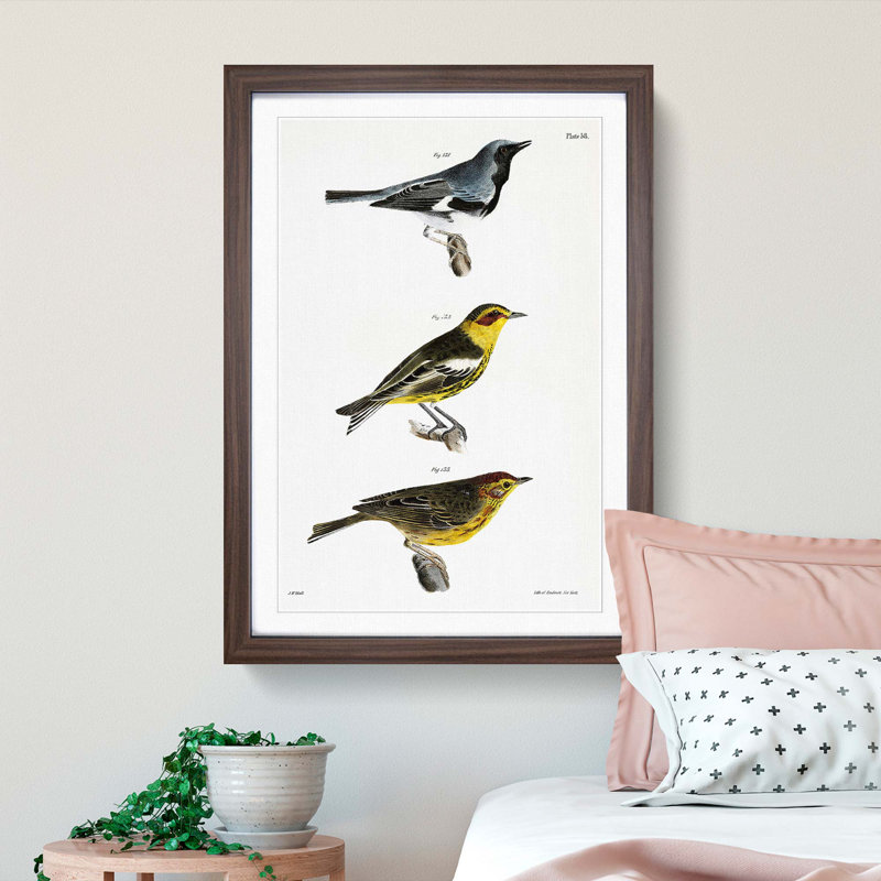 Warbler Birds PL. 58 by J.E. De Kay - Framed Print, 36cm H x 27cm W x 2cm D, Walnut Framed