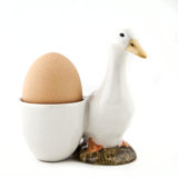 Egg Cup - With - Duck - Pekin Duck