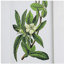 Ensemble de 4 fleurs murales botaniques, décoration pour le salon, la salle à manger, la chambre à coucher, le couloir, 20 po x 28 po