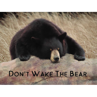 «Don't Wake the Bear» par Lori Deiter, reproduction sur toile