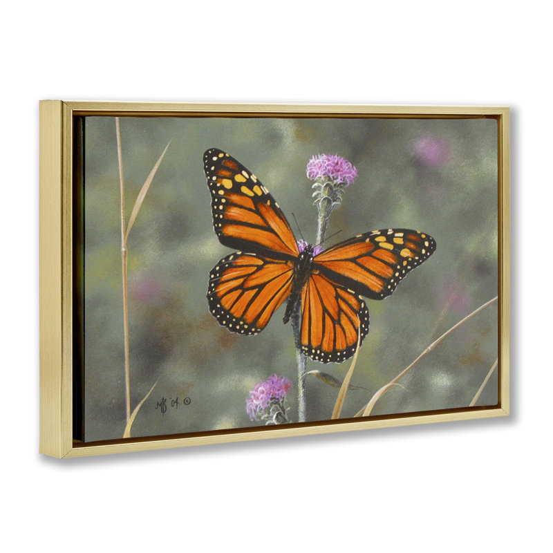 Toile flottante "Summer Summer Butterfly" par Mark Kelso, Cadre flottant métallique doré, H 21 po x l 31 po