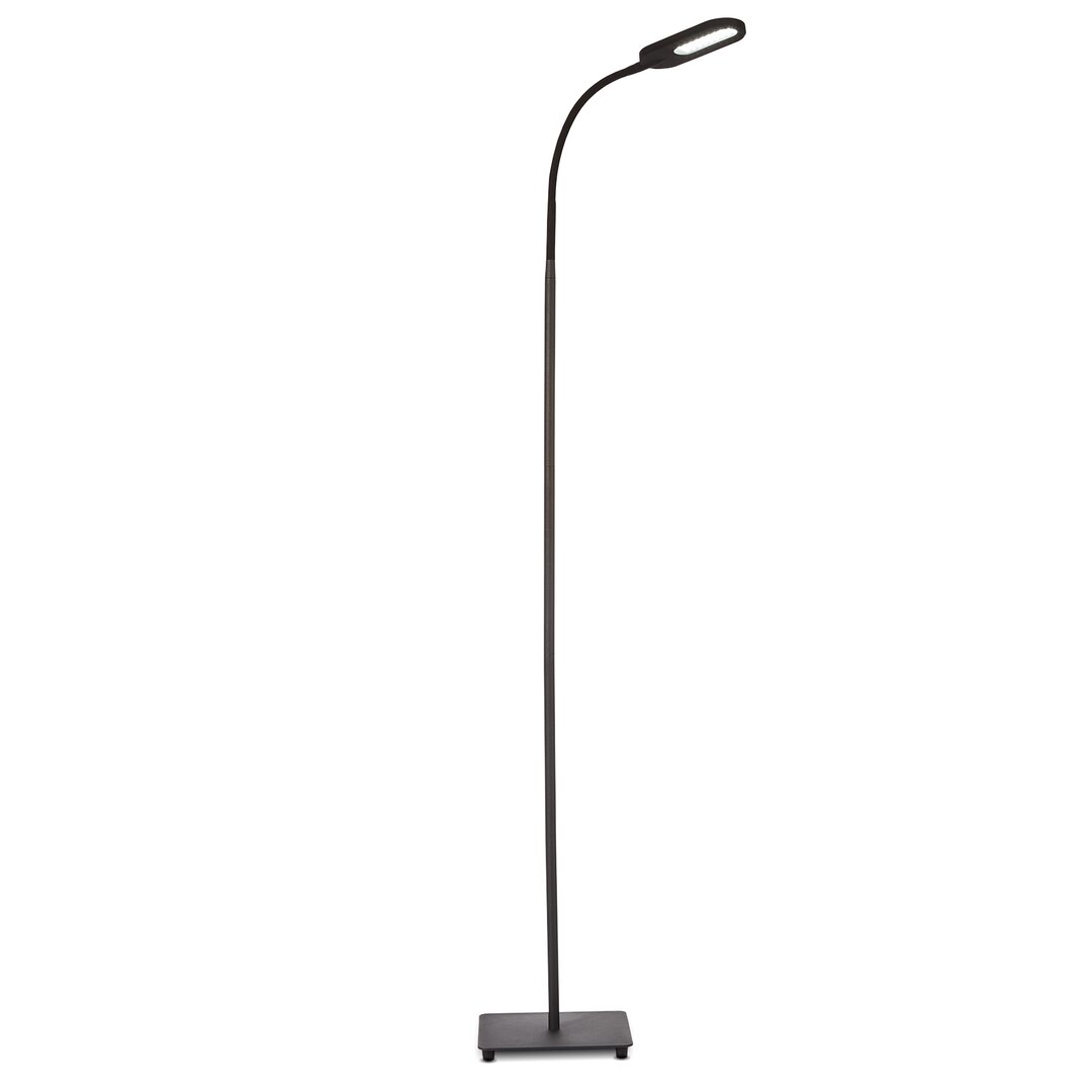 LED Stehlampe - warmweißes bis kaltweißes Licht -  Schwarz - 159 cm - Arsalaan