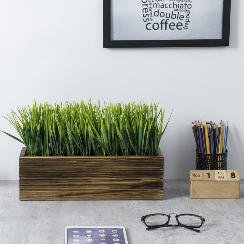 9.8'' Faux Onion Grass Grass in Wood Planter