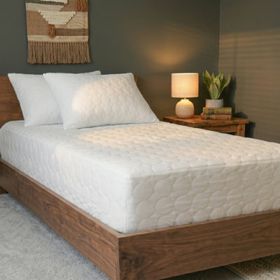 Alano Alwyn Home Hypoallergenic and Waterproof Zippered Mattress Protector + Pillowcases