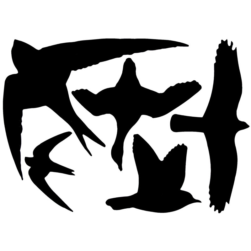 Window Stickers