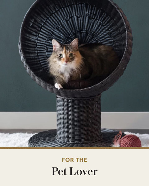 FOR THE Pet Lover