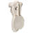 Torso of a Draped Goddess Sculpture Wall Décor