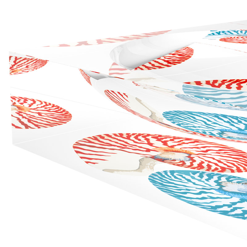 Vide-bonbons Nautilus en acrylique, L 6 po x P 6 po x H 2 po, Turquoise corail