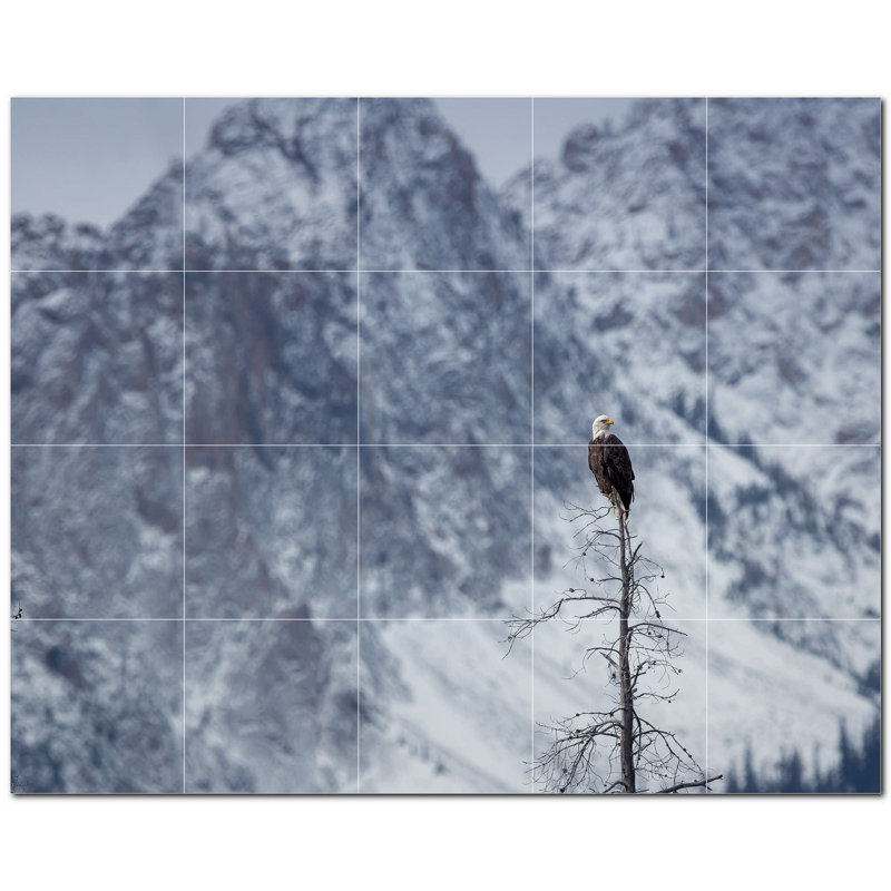 Murale en céramique satinée Bird Photo 8 po x 8 po