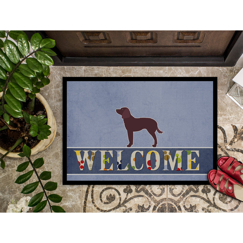 Welcome Non-Slip Outdoor Door Mat, American Water Spaniel, Rectangle 2' x 3'