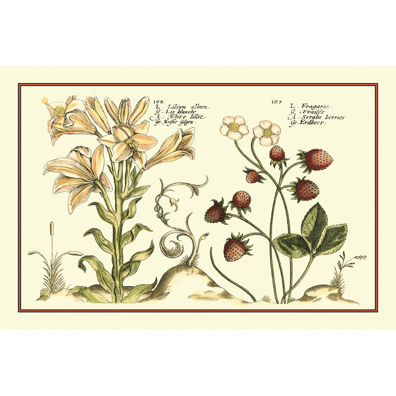 Garden Botanica I - Wrapped Canvas Painting, 81cm H x 122cm W