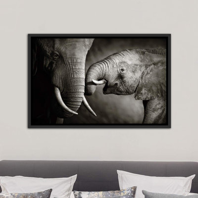 «Elephant Affection» par Johan Swanepoel - reproduction de photo