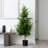 Artificial Norfolk Pine Tree-1606007049