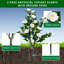 Faux Plant-1790849013-1790849017