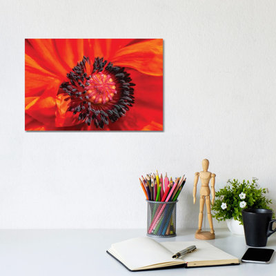 Up Close by David Gardiner - Gallery-Wrapped Canvas Giclée on Canvas