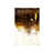 Plexi