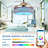 Zahnya 42'' Ceiling Fan with LED Lights-684725925