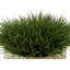 Gazon artificiel 8 po dans un panier-1941322101-1972723835-1972723836