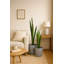 Taylur Pot Planter Concrete Effect Recycled Plastic-112123027-122610429