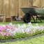 5cm H x 3000cm W Plastic Lawn Edging