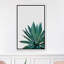 « agave cactus »-impression photographie-49905608-49905610
