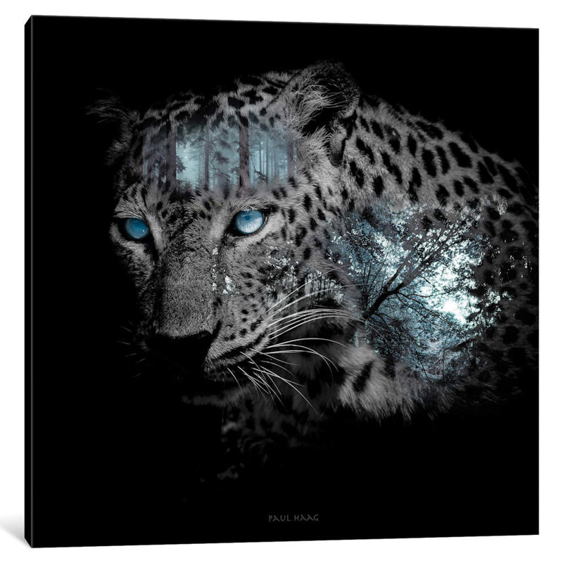Eerie by Paul Haag - No Frame Print, 45.72 cm H x 45.72 cm W x 1.91 cm D