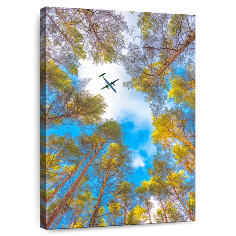 Harnek Plane Over Scots Pines, 36" H x 24" W