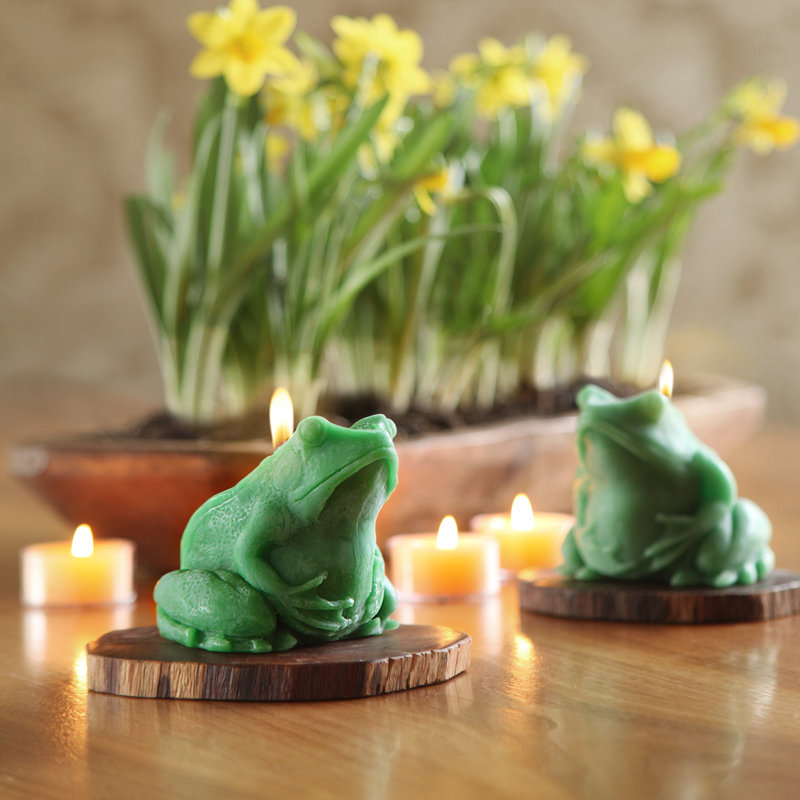 Bougie grenouille verte non parfumée