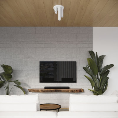 Steel Flush Mount