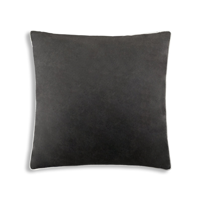 Noah Velvet Square Pillow Cover & Insert, Black