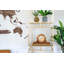 Scottsville Clock-38164013