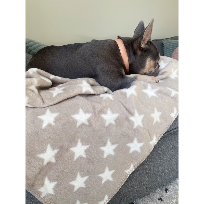 Star Print Dog Blanket