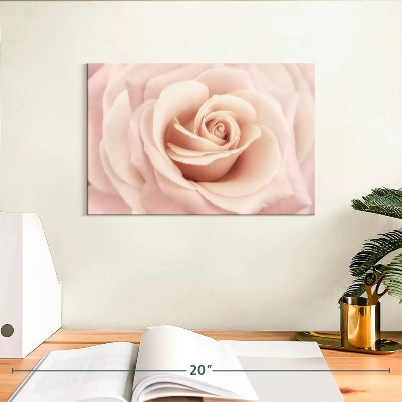 Harnek Peach Pink Rose, 8" H x 12" W
