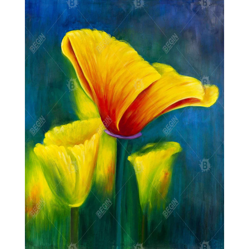 Belles fleurs colorées - art sur toile jaune