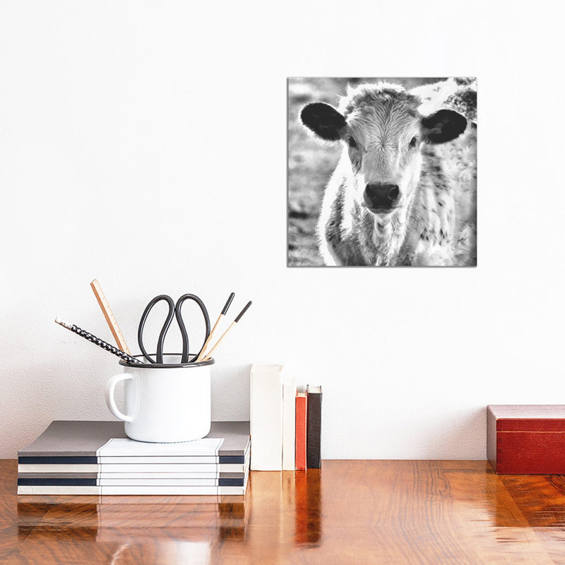 Moo by MScottPhotography - Wrapped Canvas Print, 30.48 cm H x 30.48 cm W