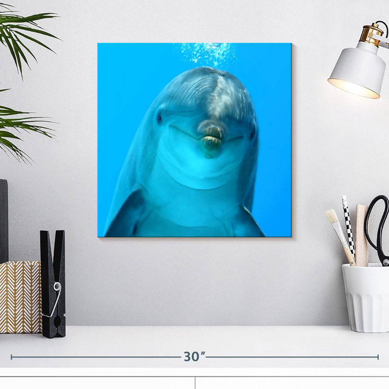 Brampt Dolphin Encounter, 16" H x 16" W