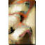 Reproduction d'art «Mark Matters 13: 2» par Mark Lawrence-1087568723-1087568729