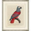 Le Perroquet 3 Painting